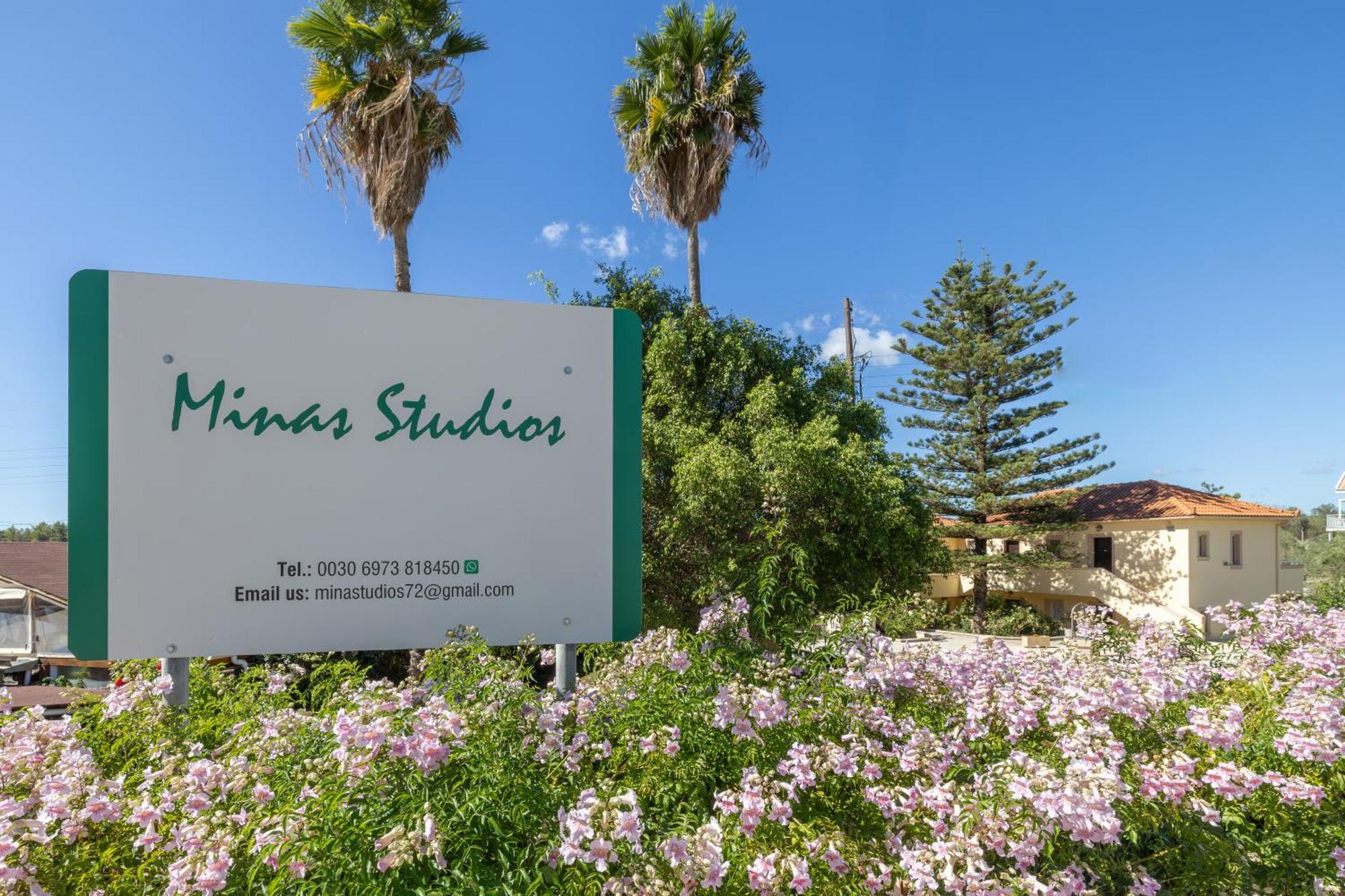 Minas Studios Lassi (Kefalonia) Exterior foto